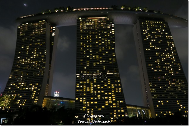新加坡超級樹燈光秀 (41)