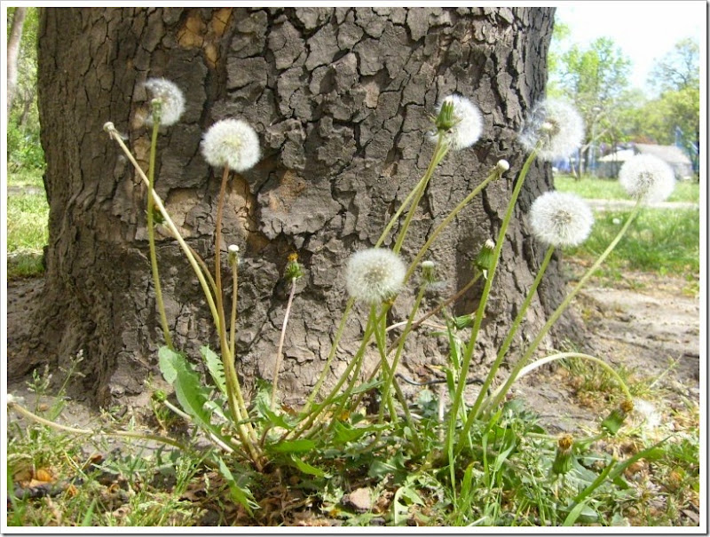 2015-04-22 019