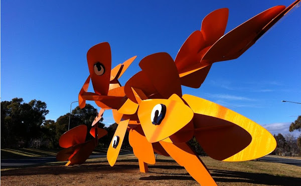 bogong moths?