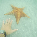 Playa Estrella - Bocas del Toro, Panamá