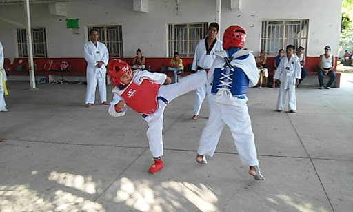 Tae Kwon Do Element, Morelos 8A, Santiago Centro, Manzanillo, Col., México, Escuela deportiva | COL