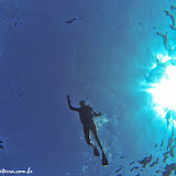 Snorkel em Molokini - Maui, Havaí, EUA