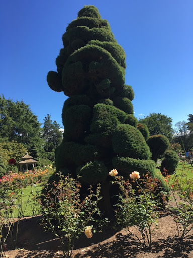 Park «Woodland Park Rose Garden», reviews and photos, 750 N 50th St, Seattle, WA 98103, USA