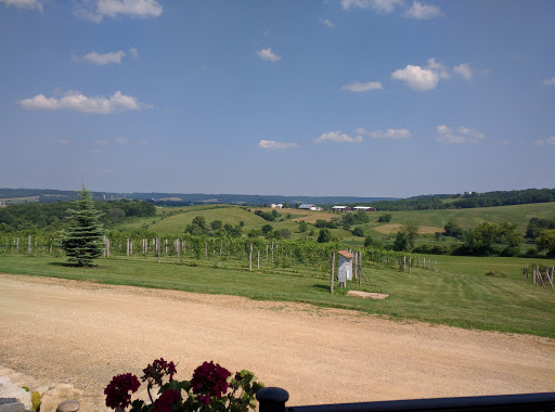 Winery «Fergedaboudit Vineyard & Winery», reviews and photos, 4595 W Speer Rd, Hanover, IL 61041, USA