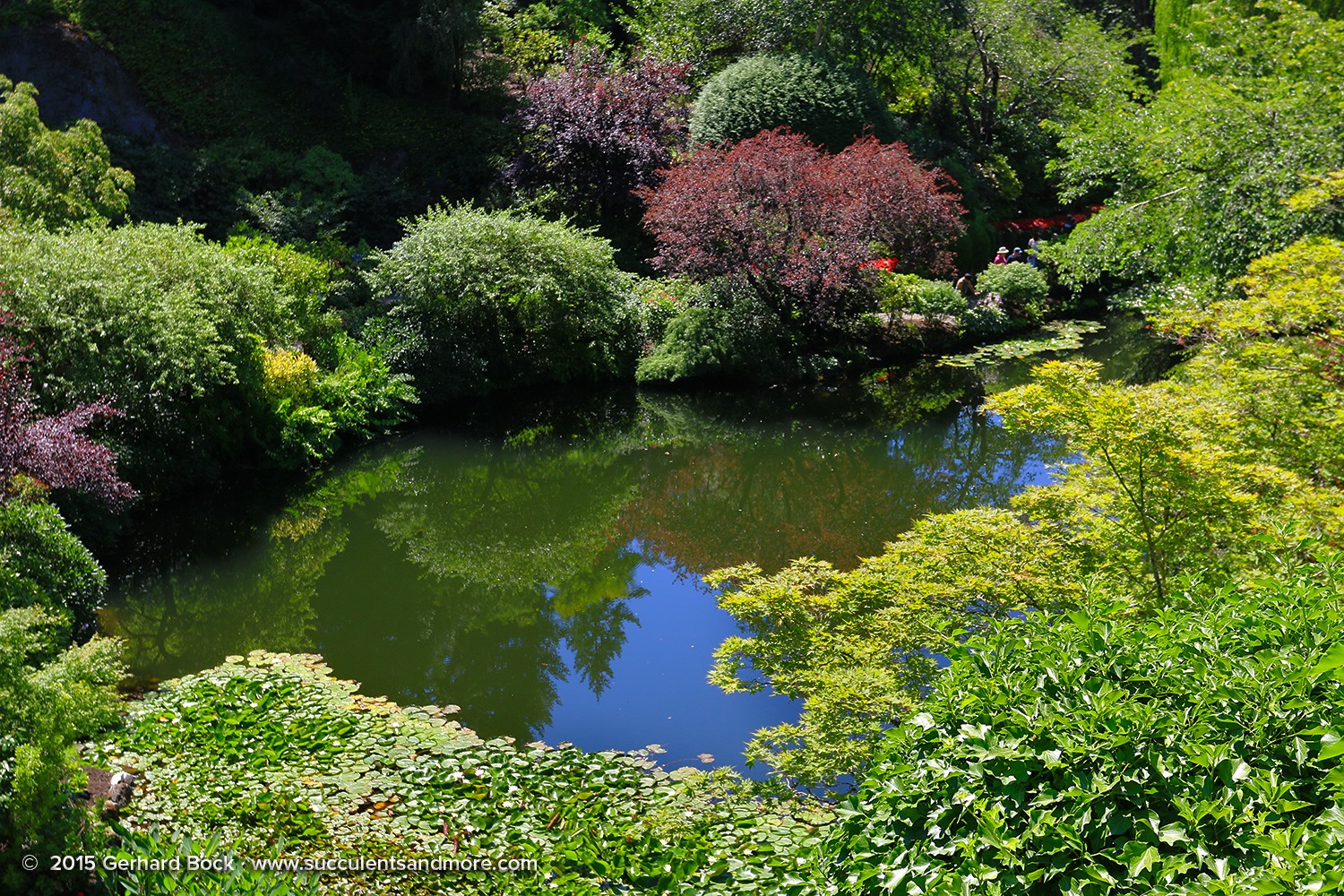 [150702_Victoria_ButchartGardens_0106%255B2%255D.jpg]