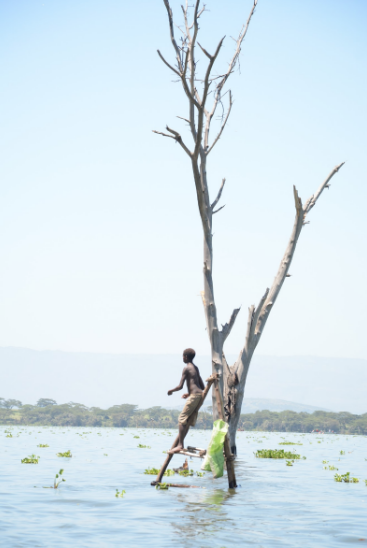 Secondary and college students drop out to engage in lurcrative fishing in Lakes Naivasha and Oloidien