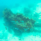 Snorkel no Devil´s Crown - Floreana - Galápagos