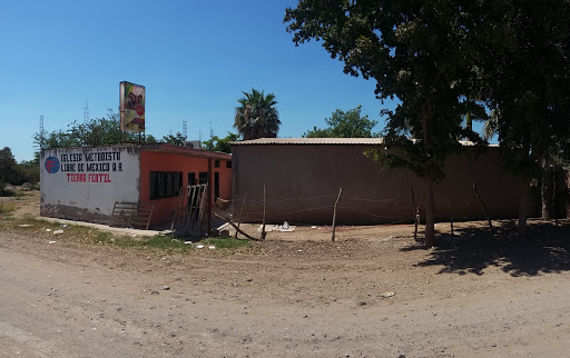 Iglesia Metodista Libre De México A.R. Tierra Fértil, Calle Cero, Fracc. Santa María, 81048 Guasave, Sin., México, Iglesia metodista | SIN