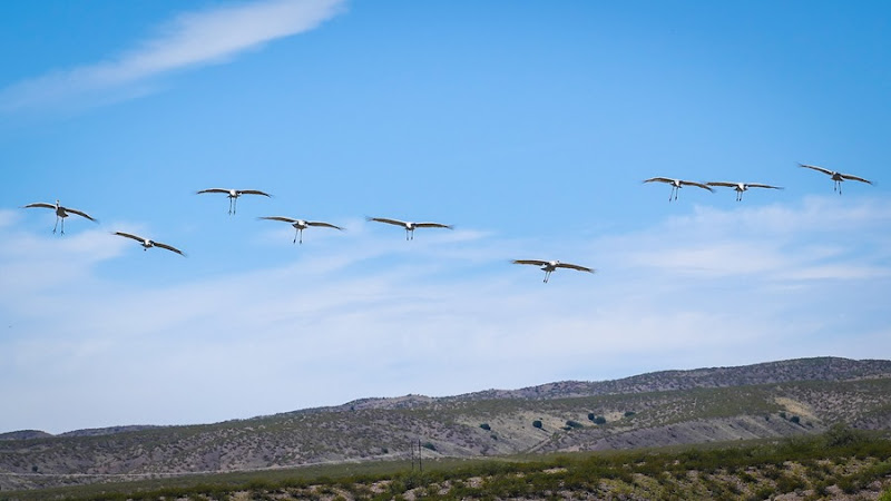 sandhills with landing gear down