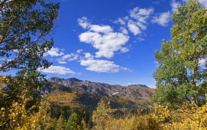 Big Cottonwood Canyon - Autumn 