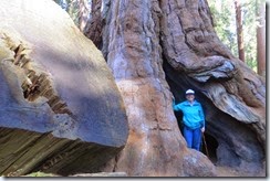 Hiking and Site Seeing in Kings Canyon-004