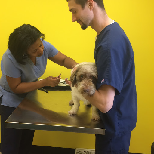 Veterinarian «Loving Touch Animal Clinic», reviews and photos