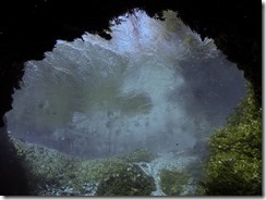 Unterwasser-Foto vom Blue Eye