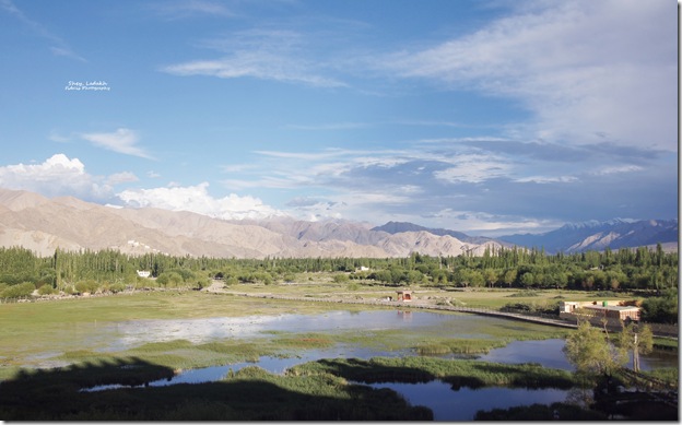 Ladakh98