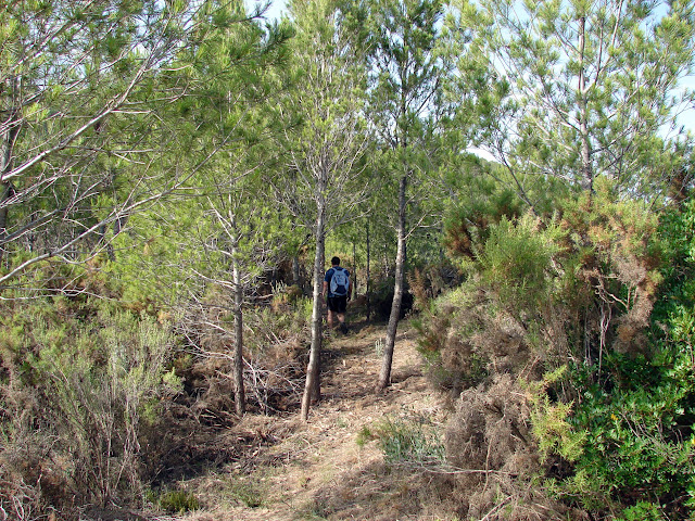 Senderismo - Cirat - Fte Umbría - Salto de Cirat - Bco Salinas