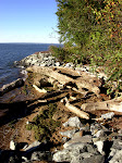 On the Chesapeake, Elk Neck State Park, near North East, Maryland, near the border to Delaware.