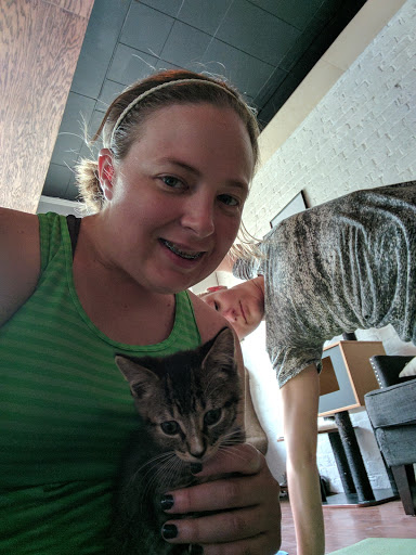 Pet Adoption Service «Pounce Cat Cafe + Wine Bar», reviews and photos, 283 Meeting St, Charleston, SC 29401, USA