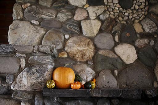 Fall pumpkins and gourds