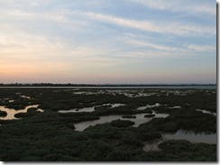 Pagham Harbour