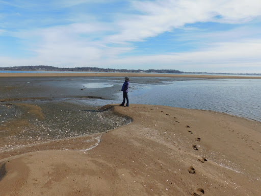 Nature Preserve «Sandy Point Bird Sanctuary», reviews and photos, Beach St, West Haven, CT 06516, USA