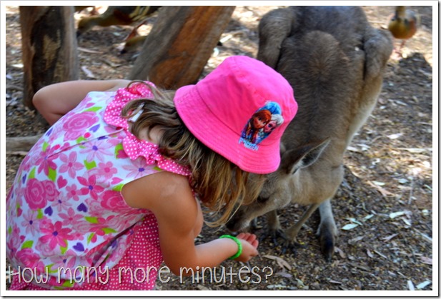 Billabong Sanctuary | How Many More Minutes?