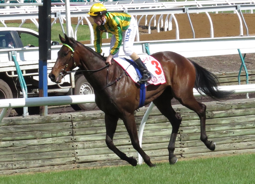 [race%25207_derby_kia%2520ora%2520koutou%255B4%255D.jpg]