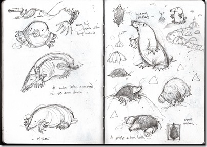 mole sketches