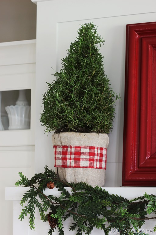 [rosemary%2520tree%2520with%2520linen%2520%2526%2520plaid%255B8%255D.jpg]