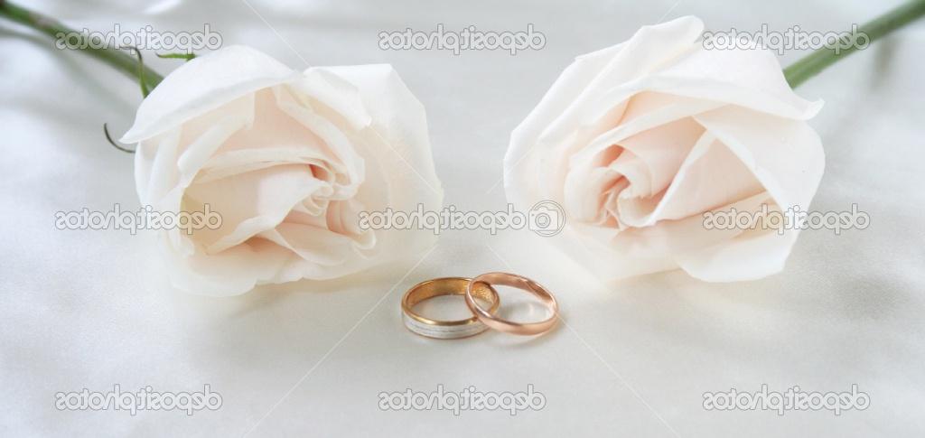Wedding rings and roses can