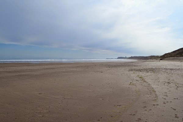 Whitby in the distance