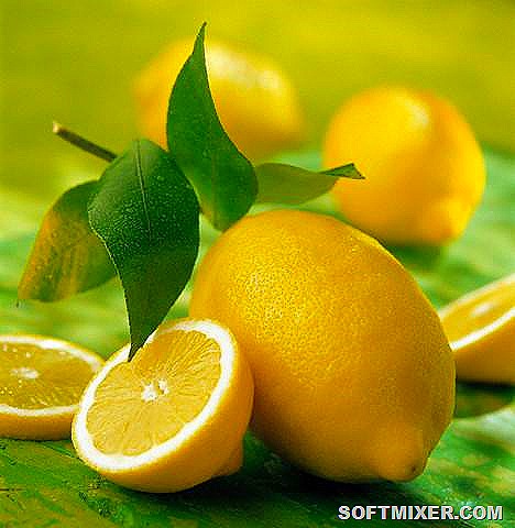 [94260950_58044394_limon3%255B7%255D.jpg]