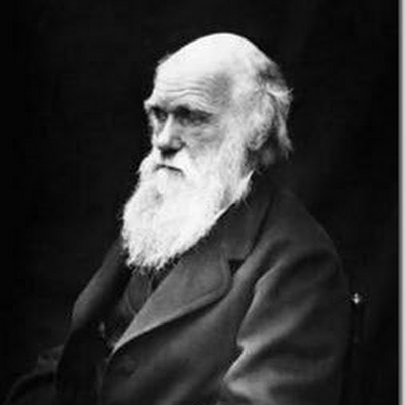 Pokok Pikiran Teori Evolusi Charles Darwin