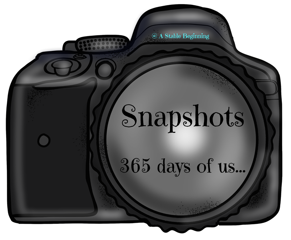 [Snapshots%2520365%255B3%255D.png]