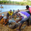 Foto6 _Sbarco del pesce.JPG