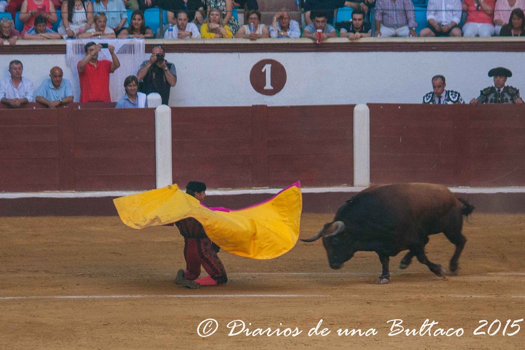 [Toros1-9732%255B13%255D.jpg]