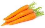 [CARROT%255B2%255D.jpg]