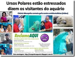 ursos_polares_estressados