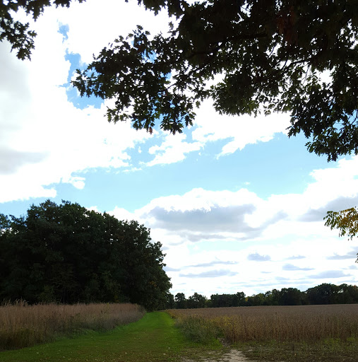 Nature Preserve «DeVries Nature Conservancy», reviews and photos, 2635 N Michigan 52, Owosso, MI 48867, USA