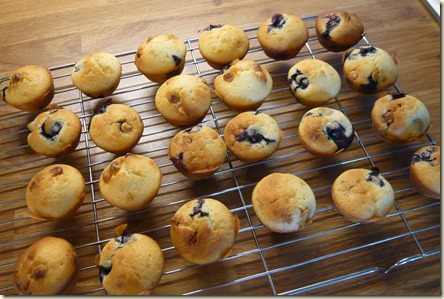 blueberry and white chocolate mini muffins3