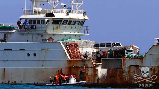 Military and police board the last two Interpol-wanted toothfish poaching vessels, Songhua and Yongding, in Cabo Verde, an archipelago state off the northwest coast of Africa, on 23 May 2015. Sea Shepherd intel led to the boarding of the Songhua/Kadei. Photo: Josephine Watmore