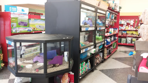 Pet Supply Store «Petco Pet Store», reviews and photos, 2027 E University Dr, Mesa, AZ 85203, USA