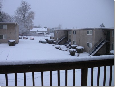 IMG_4742 Snow in Milwaukie, Oregon on December 14, 2008