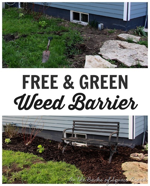 free & green weed barrier