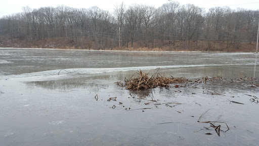 Nature Preserve «Sauk Trail Woods», reviews and photos, 3028 Forest Preserve Dr, Chicago Heights, IL 60411, USA