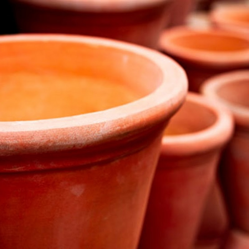 Types of Pots for Indoor Gardens