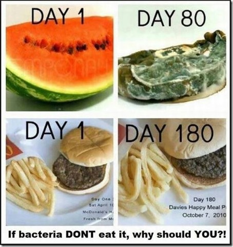 Bacteria won't eat it-