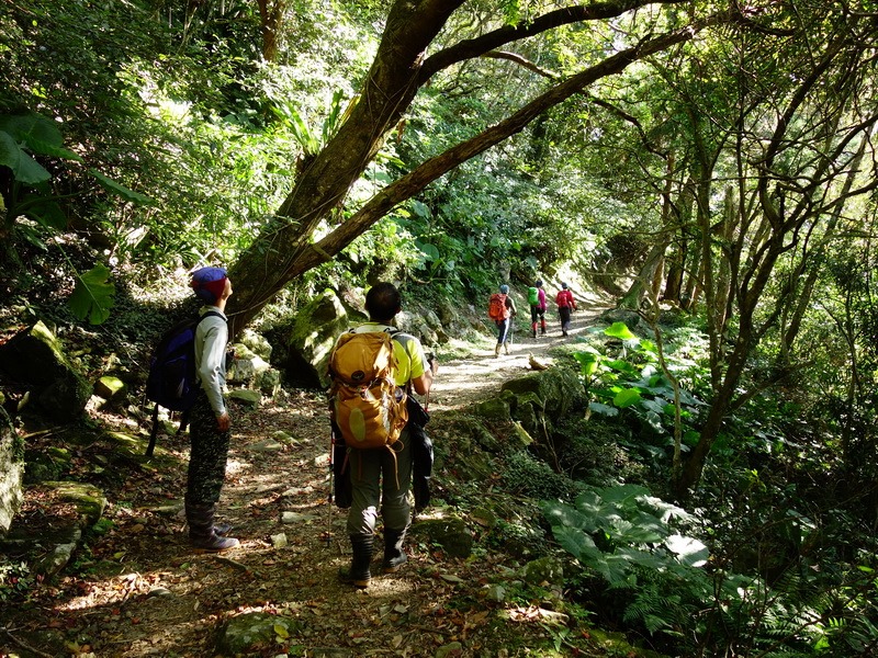 2013_1207 東滿步道→拉卡山→北插天山水源地_037