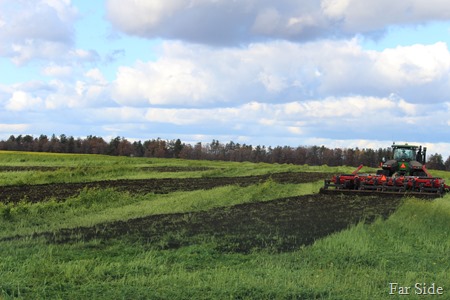 Discing the mustard field