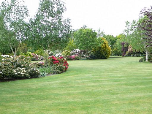 Area of herbaceous borders,