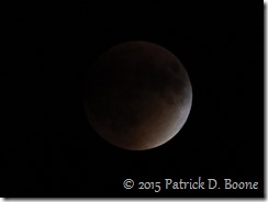 Lunar Eclipse 14